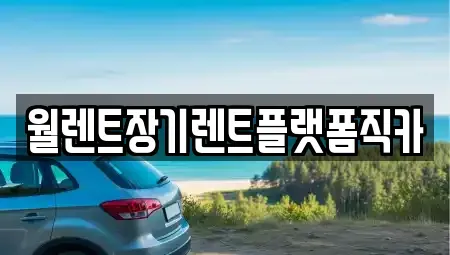 경기 광주시 송정동 장기렌트카 전문 월렌트장기렌트플랫폼직카
