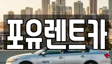 경기 광주시 송정동 장기렌트카 전문 포유렌트카