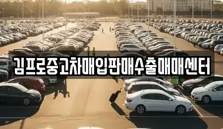 경기 광주시 송정동 중고차매입 전문 김프로중고차매입판매수출매매센터