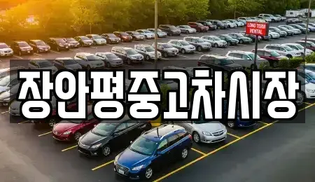 경기 군포시 속달동 중고차 전문 장안평중고차시장