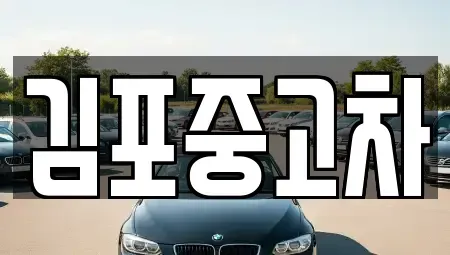 경기 김포시 마산동 중고차 전문 김포중고차