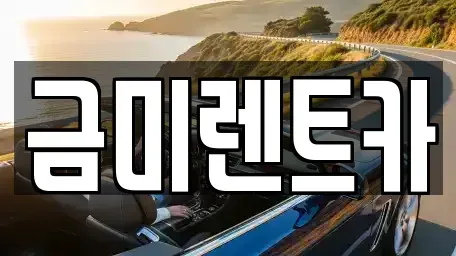 경기 부천시 소사구 범박동 렌트카 전문 금미렌트카