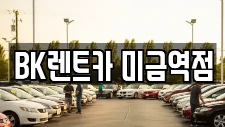 경기 성남시 분당구 구미동 렌트카 전문 BK렌트카 미금역점