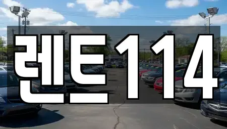 경기 성남시 분당구 구미동 렌트카 전문 렌트114