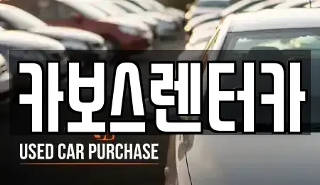 경기 성남시 분당구 구미동 렌트카 전문 카보스렌터카