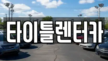 경기 성남시 분당구 구미동 렌트카 전문 타이틀렌터카