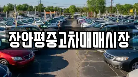 경기 성남시 분당구 구미동 중고차 전문 장안평중고차매매시장