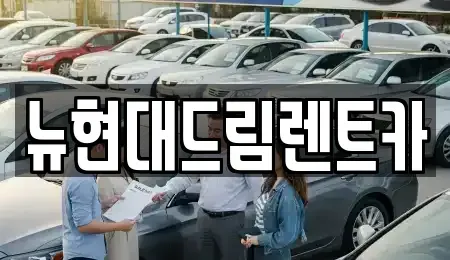 경기 성남시 수정구 금토동 렌트카 전문 뉴현대드림렌트카
