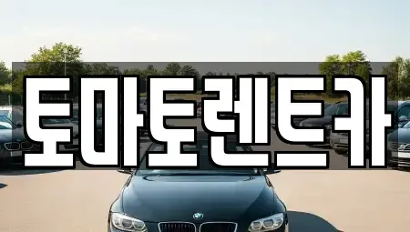 경기 성남시 수정구 금토동 렌트카 전문 토마토렌트카