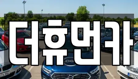 경기 성남시 수정구 금토동 장기렌트카 전문 더휴먼카