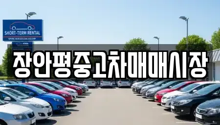 경기 성남시 수정구 금토동 중고차 전문 장안평중고차매매시장