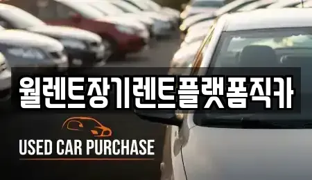 경기 성남시 수정구 상적동 장기렌트카 전문 월렌트장기렌트플랫폼직카