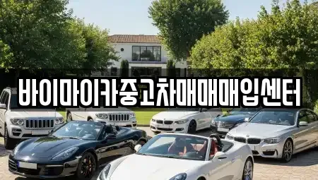 경기 성남시 수정구 상적동 중고차 전문 바이마이카중고차매매매입센터