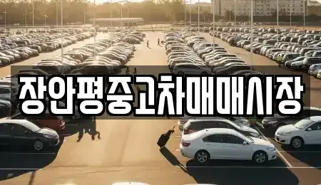 경기 성남시 수정구 상적동 중고차 전문 장안평중고차매매시장