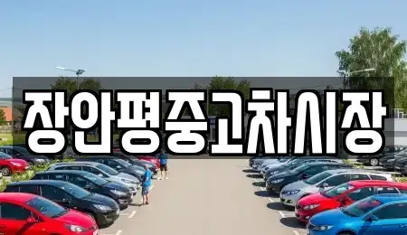 경기 성남시 수정구 상적동 중고차매매 전문 장안평중고차시장