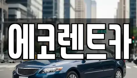 경기 수원시 권선구 호매실동 장기렌트카 전문 에코렌트카
