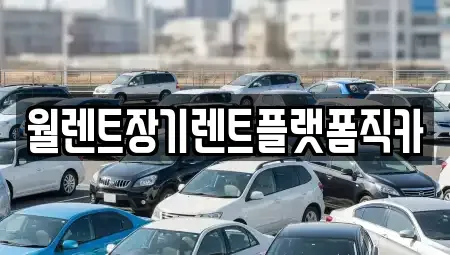 경기 수원시 권선구 호매실동 장기렌트카 전문 월렌트장기렌트플랫폼직카