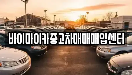 경기 시흥시 능곡동 중고차 전문 바이마이카중고차매매매입센터