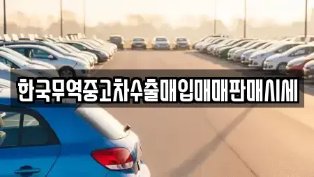 경기 시흥시 능곡동 중고차 전문 한국무역중고차수출매입매매판매시세