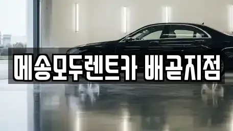 경기 시흥시 배곧동 렌트카 전문 메송모두렌트카 배곧지점