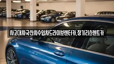 경기 시흥시 배곧동 장기렌트카 전문 사고대차국산차수입차드라이브렌터카,장기리스렌트카