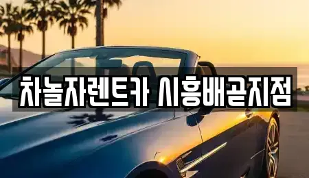 경기 시흥시 배곧동 장기렌트카 전문 차놀자렌트카 시흥배곧지점