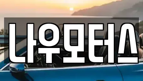 경기 시흥시 배곧동 중고차매매 전문 나우모터스