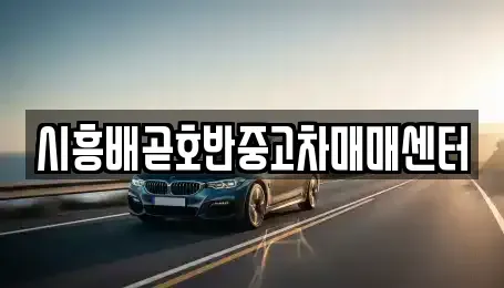 경기 시흥시 배곧동 중고차매매 전문 시흥배곧호반중고차매매센터
