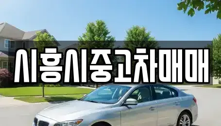경기 시흥시 배곧동 중고차매매 전문 시흥시중고차매매