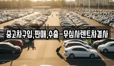 경기 시흥시 배곧동 중고차매매,단기렌트카,중고차매입,장기렌트카,중고차,렌트카
