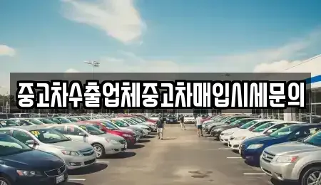 경기 시흥시 배곧동 중고차매매 전문 중고차수출업체중고차매입시세문의