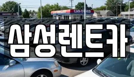 경기 안산시 단원구 원곡동 렌트카 전문 삼성렌트카