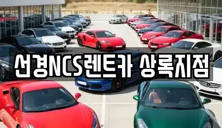 경기 안산시 상록구 이동 단기렌트카 전문 선경NCS렌트카 상록지점