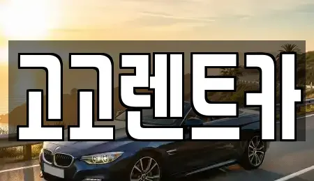 경기 안산시 상록구 이동 렌트카 전문 고고렌트카