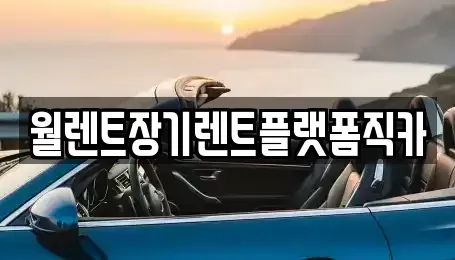 경기 안산시 상록구 이동 장기렌트카 전문 월렌트장기렌트플랫폼직카