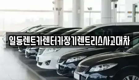 경기 안산시 상록구 이동 장기렌트카 전문 일등렌트카렌터카장기렌트리스사고대차