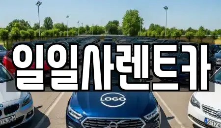 경기 안산시 상록구 이동 장기렌트카 전문 일일사렌트카