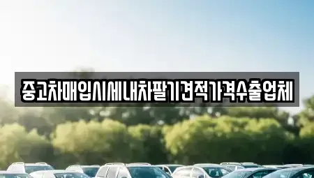 경기 안산시 상록구 이동 중고차매입 전문 중고차매입시세내차팔기견적가격수출업체