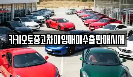 경기 안산시 상록구 이동 중고차매입 전문 카카오토중고차매입매매수출판매시세