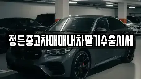 경기 안성시 구포동 중고차 전문 정든중고차매매내차팔기수출시세