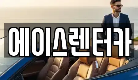 경기 안성시 미양면 렌트카 전문 에이스렌터카