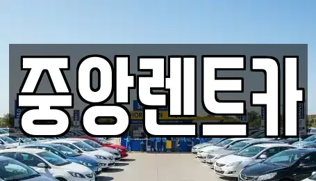 경기 안성시 미양면 렌트카 전문 중앙렌트카