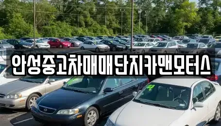 경기 안성시 미양면 중고차 전문 안성중고차매매단지카맨모터스