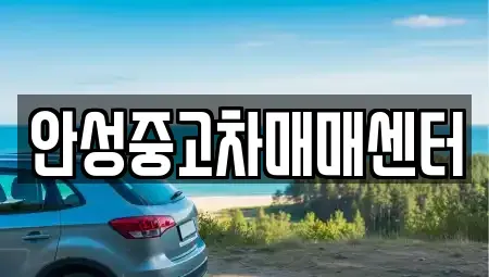 경기 안성시 미양면 중고차 전문 안성중고차매매센터