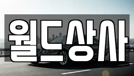 경기 안성시 미양면 중고차매매 전문 월드상사