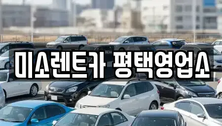 경기 안성시 원곡면 렌트카 전문 미소렌트카 평택영업소