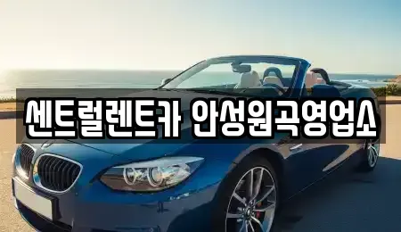 경기 안성시 원곡면 렌트카 전문 센트럴렌트카 안성원곡영업소