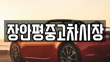 경기 양평군 용문면 중고차매매 전문 장안평중고차시장