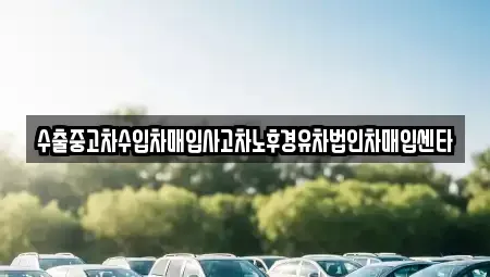 경기 양평군 용문면 중고차매입 전문 수출중고차수입차매입사고차노후경유차법인차매입센타