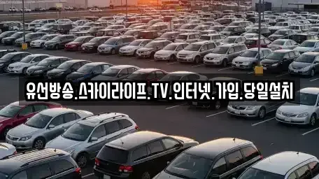 경기 양평군 용문면 중고차매입 전문 유선방송.스카이라이프.TV.인터넷.가입.당일설치